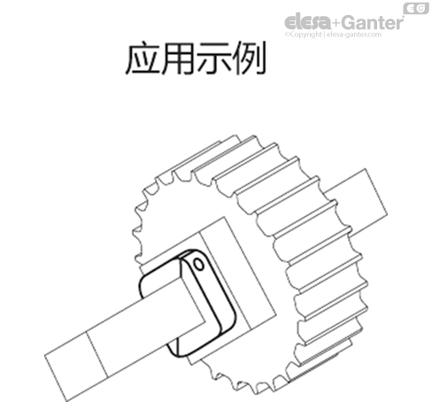 ANPS_Q_ACC_EXAMPLE_ZH