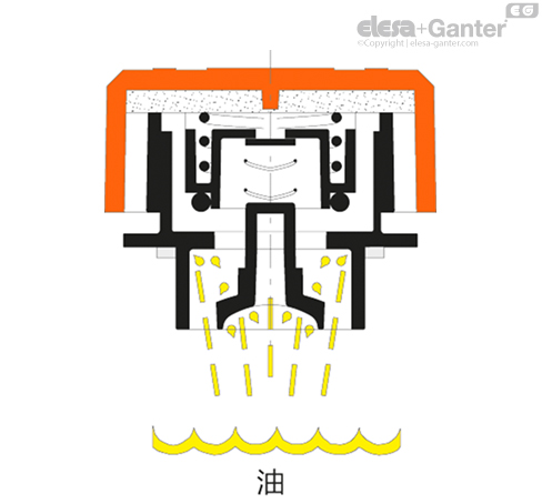 SFW_P_SEC_EXAMPLE_ZH