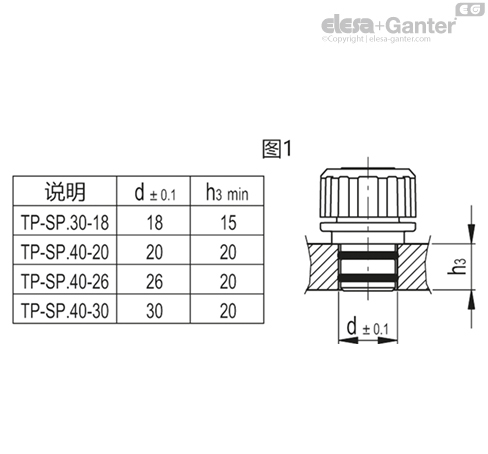 TP_SP_MOUNT_EXAMPLE_ZH
